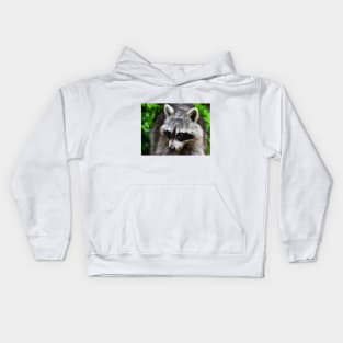 Raccoon Kids Hoodie